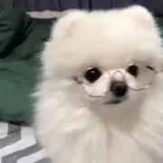 みの画像
