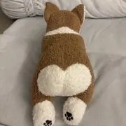 メルコギの画像