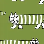 Qoooの画像