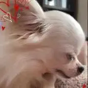 みさこの画像
