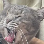 断捨離中の画像