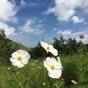 あかね＊断捨離中の画像