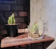Rockの画像