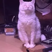 プロフ必須★見ていない方とは取引しませんの画像
