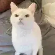 あんなる