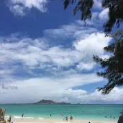 maruの画像