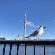 ともきの画像