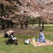Ryosuke Hashimotoの画像