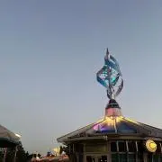 Rnの画像