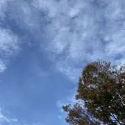 yukkyの画像