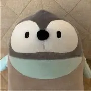 Yころりんの画像