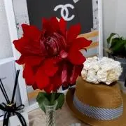 ROCKの画像