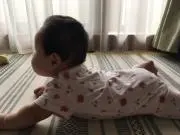 ドライペットの画像