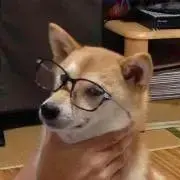 やこちゃん