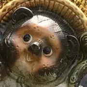 ぽんたの画像