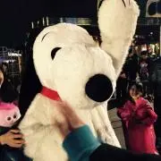 kn13の画像