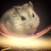 あいりの画像