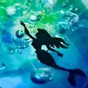 蓮池※プロフィールをご覧ください※