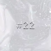 #22の画像
