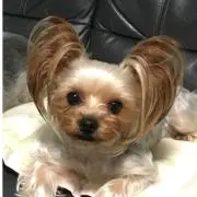 るんの画像