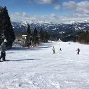 ドンゴリの画像