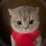 tiffの画像