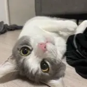 どうも