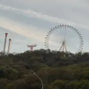 Mimiの画像
