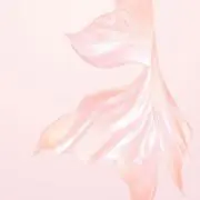 ルーシィの画像