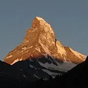 pivoineの画像