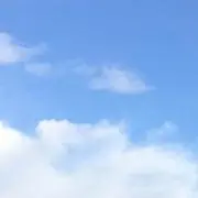 nmnm プロフィール確認願の画像