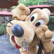 はろっぺの画像