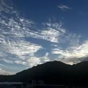 ココ太郎