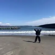じゃすみんの画像