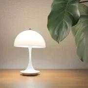 kkの画像