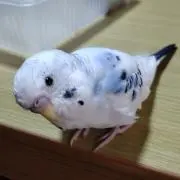 まーさんの画像