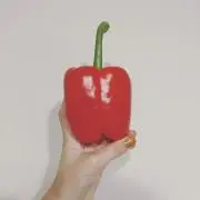 paprikaの画像