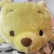 ちの画像