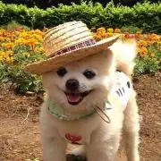 ★るんるん★の画像