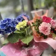 あちゃの画像
