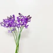 なる⭐︎の画像