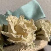ブルーフラッグの画像