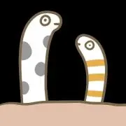 わかめ