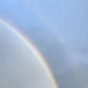 のゆ