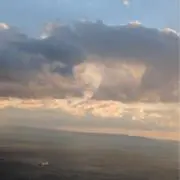 レイの画像