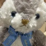 ちりの画像