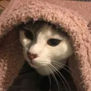 もじるもの画像