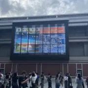 ぴゃーの画像