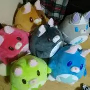 ちゃんちゃんこ