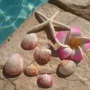 Miiの画像